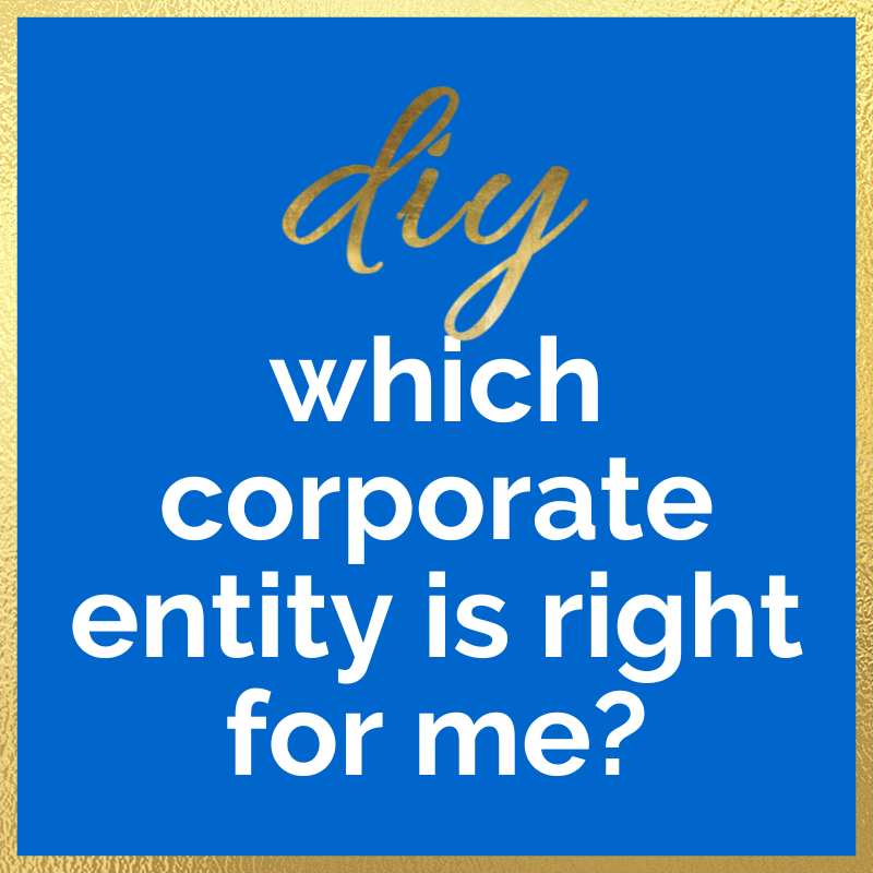 DIY Which Corporate Entity is Right for Me?