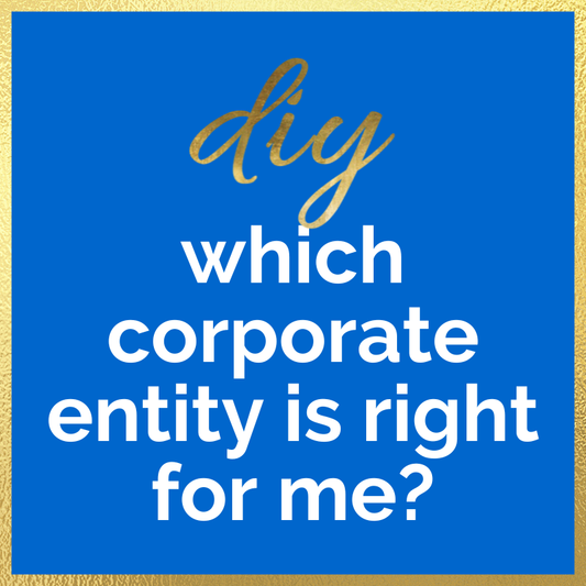 DIY Which Corporate Entity is Right for Me?